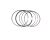 PISTON RING ASSY (Ref. č 25)