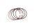 Piston ring assembly (Ref. č 5)